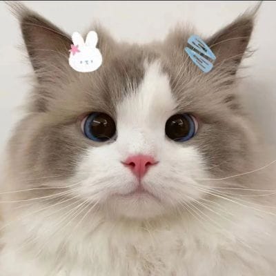 คุณโอม avatar